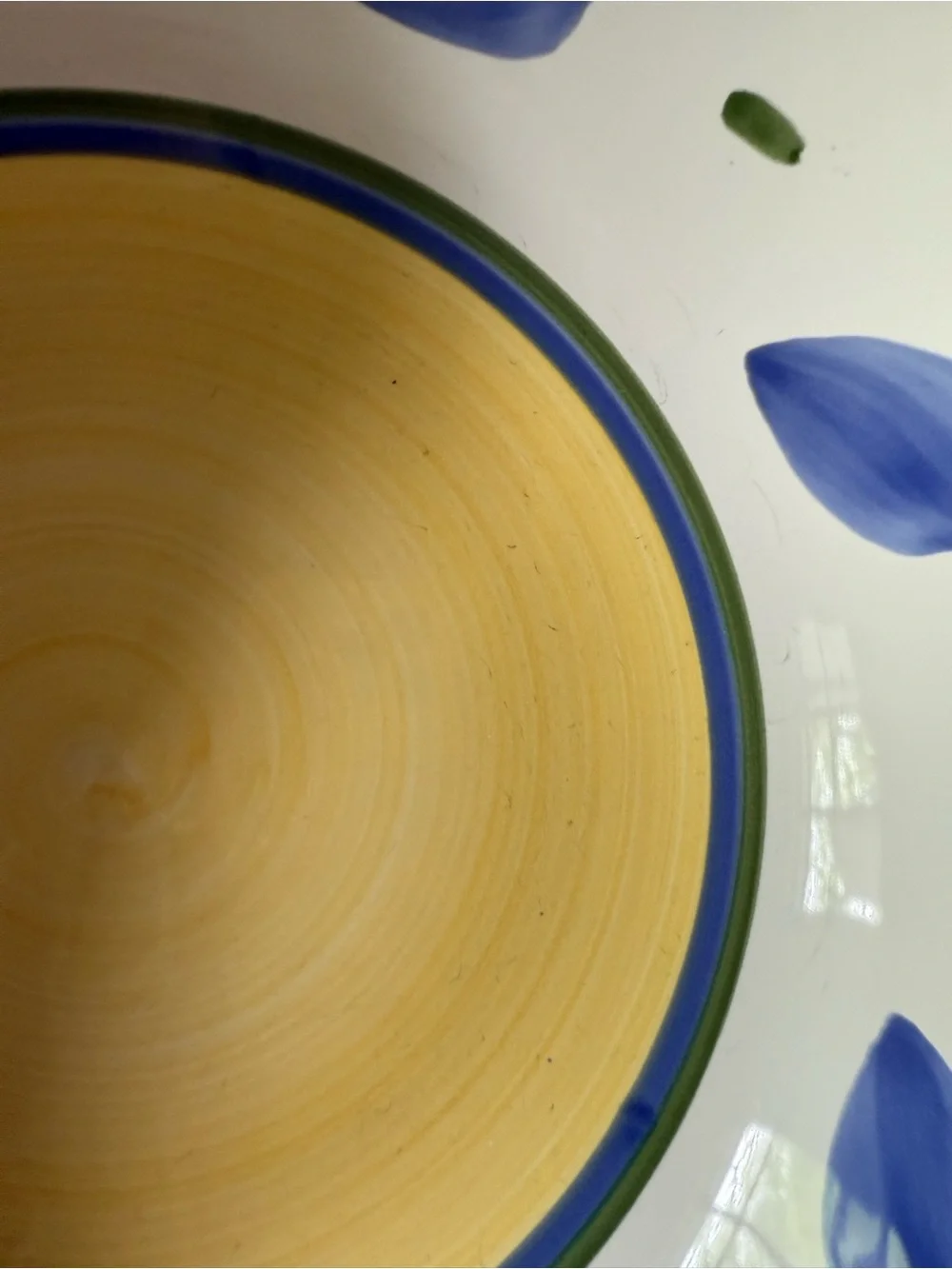 Williams Sonoma Tournesol Large Serving Bowl – Hand-Painted Floral Pattern – 13”